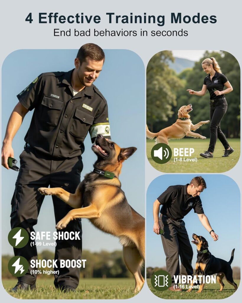 Discover the INVIROX dog training collar. This IPX8 waterproof e-collar features 4 modes, a 4500FT remote, and a security lock for dogs 10-120lbs.