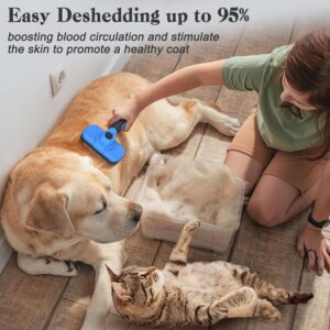 Read more about the article Best slicker brush for senior dogs with long hair