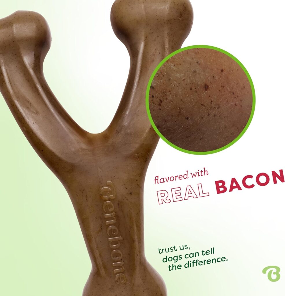 Looking for the best chew dogs toys? The Benebone Wishbone is a durable chew toy for aggressive chewers, made in the USA with real bacon flavor.
