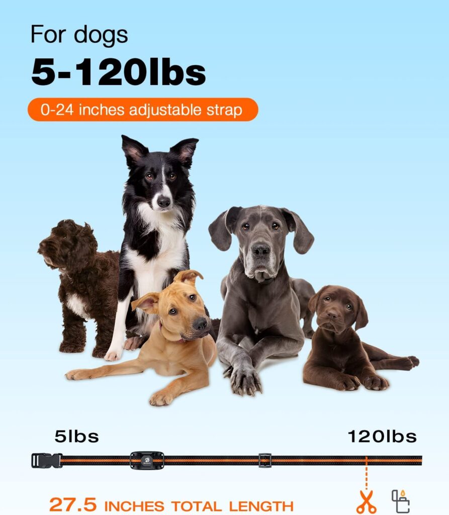 Find the best collars for little dogs with the Bousnic Dog Shock Collar. Features a 3300ft remote, beep, vibration, and safe shock modes for easy training.