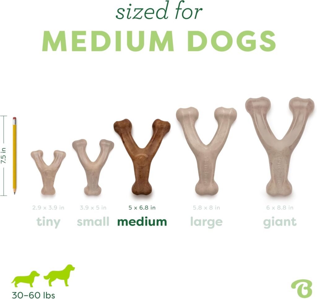 Looking for the best chew dogs toys? The Benebone Wishbone is a durable chew toy for aggressive chewers, made in the USA with real bacon flavor.