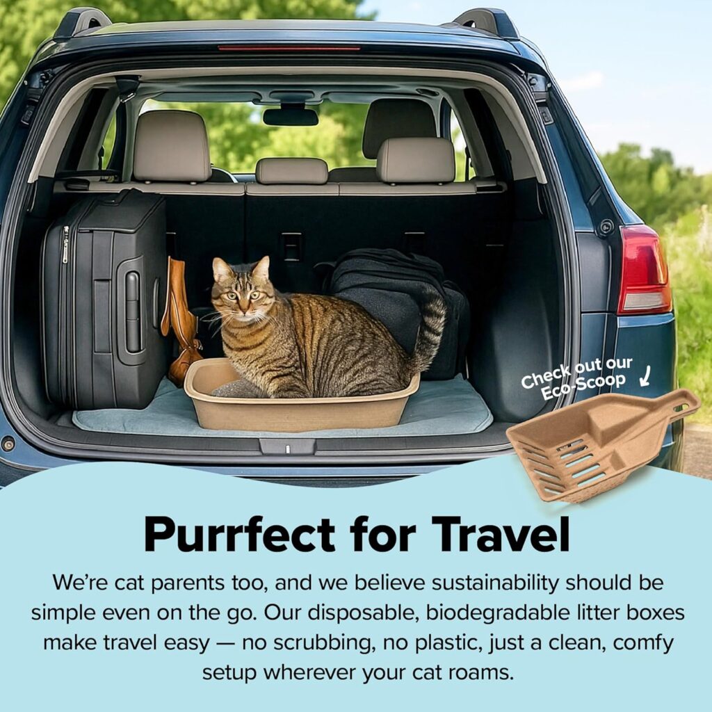 Looking for a durable disposable cat litter box? Eco-friendly Kitty Sift (6-count) controls odor and is perfectly portable for travel or home. Shop now!