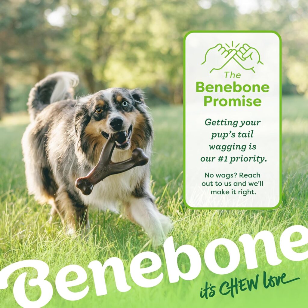 Looking for the best chew dogs toys? The Benebone Wishbone is a durable chew toy for aggressive chewers, made in the USA with real bacon flavor.