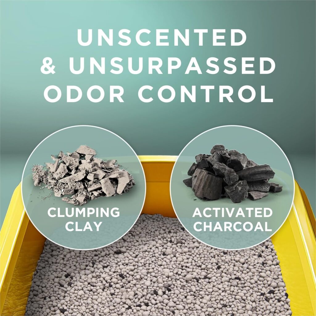Looking for the best unscented cat litter? Purina Tidy Cats Free & Clean offers powerful clumping and odor control without fragrances. Perfect for multi-cat homes