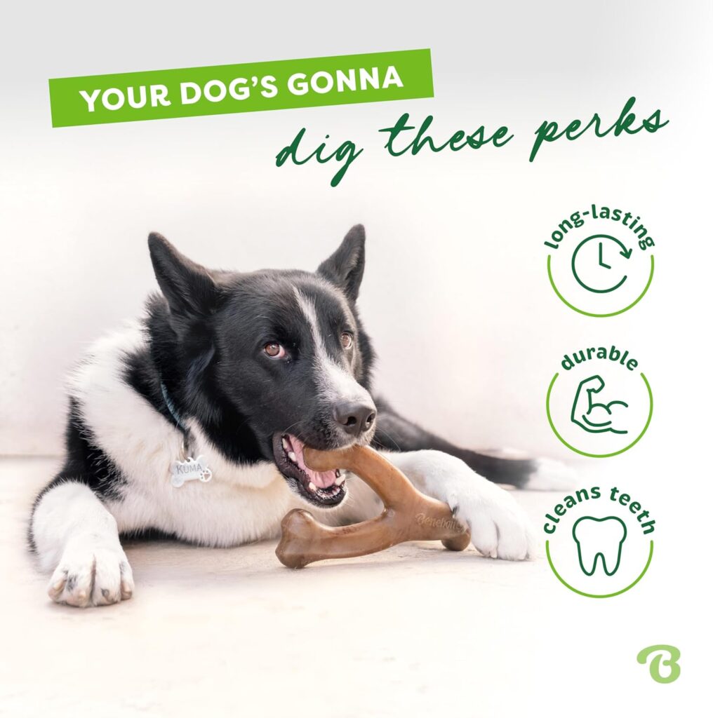 Looking for the best chew dogs toys? The Benebone Wishbone is a durable chew toy for aggressive chewers, made in the USA with real bacon flavor.