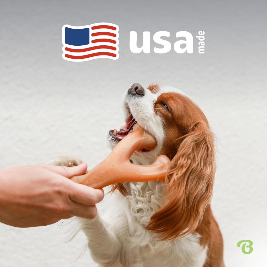 Looking for the best chew dogs toys? The Benebone Wishbone is a durable chew toy for aggressive chewers, made in the USA with real bacon flavor.