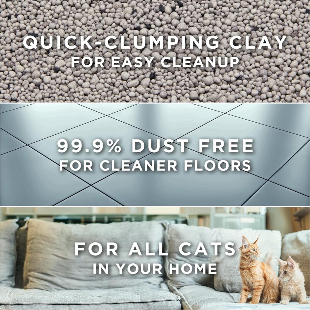Looking for the best unscented cat litter? Purina Tidy Cats Free & Clean offers powerful clumping and odor control without fragrances. Perfect for multi-cat homes